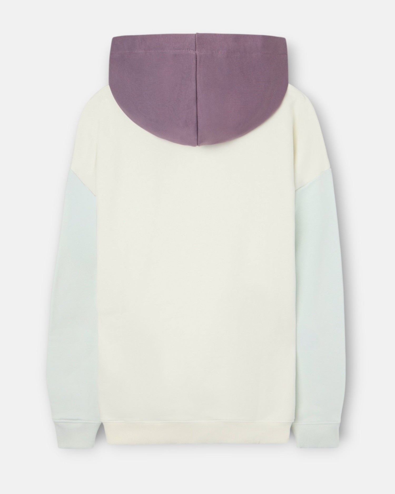 Sweatshirt com Capuz Multicolor Multicolor-2