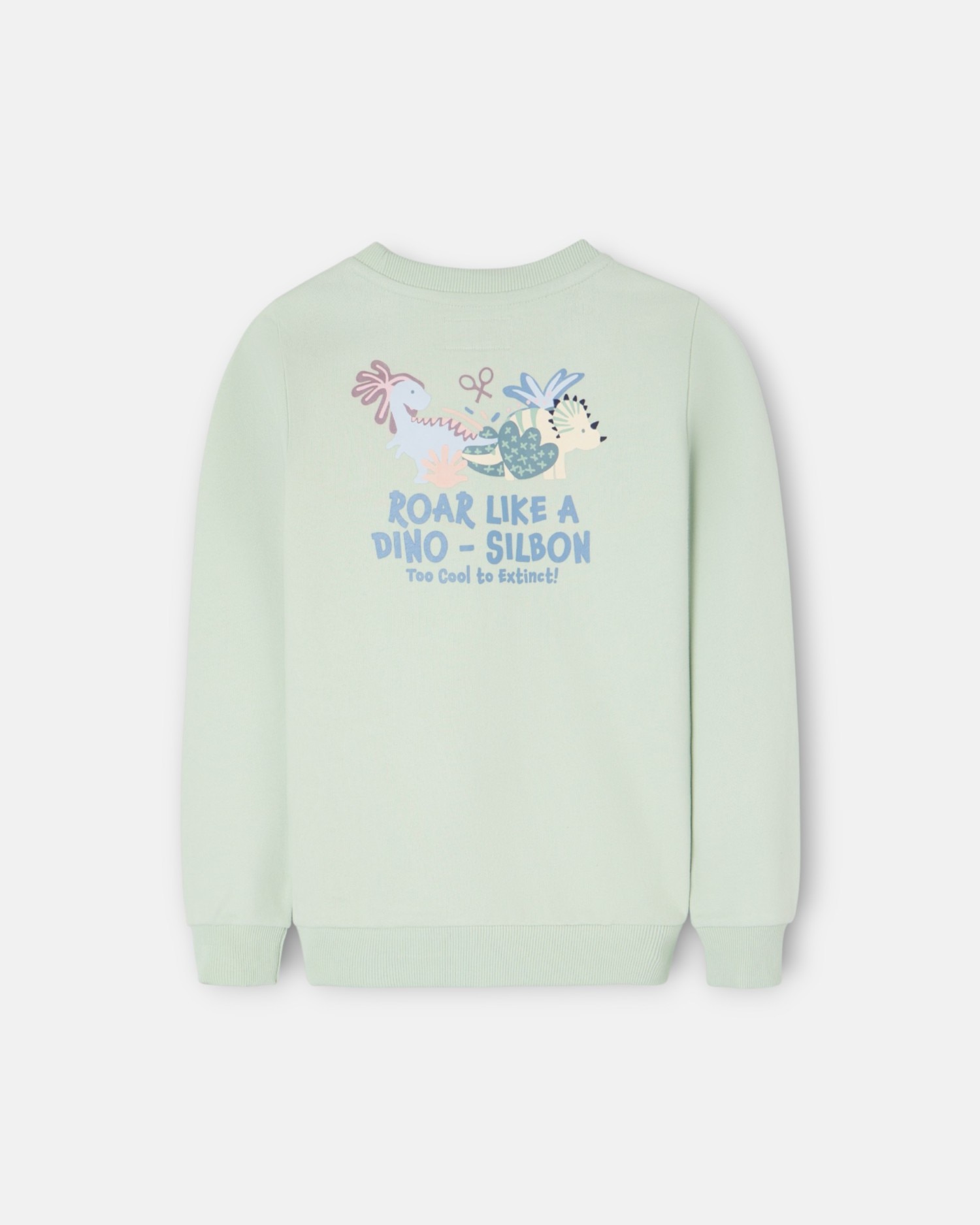 Sweatshirt Infantil Roar Like a Dino Silbon Verde-claro-5