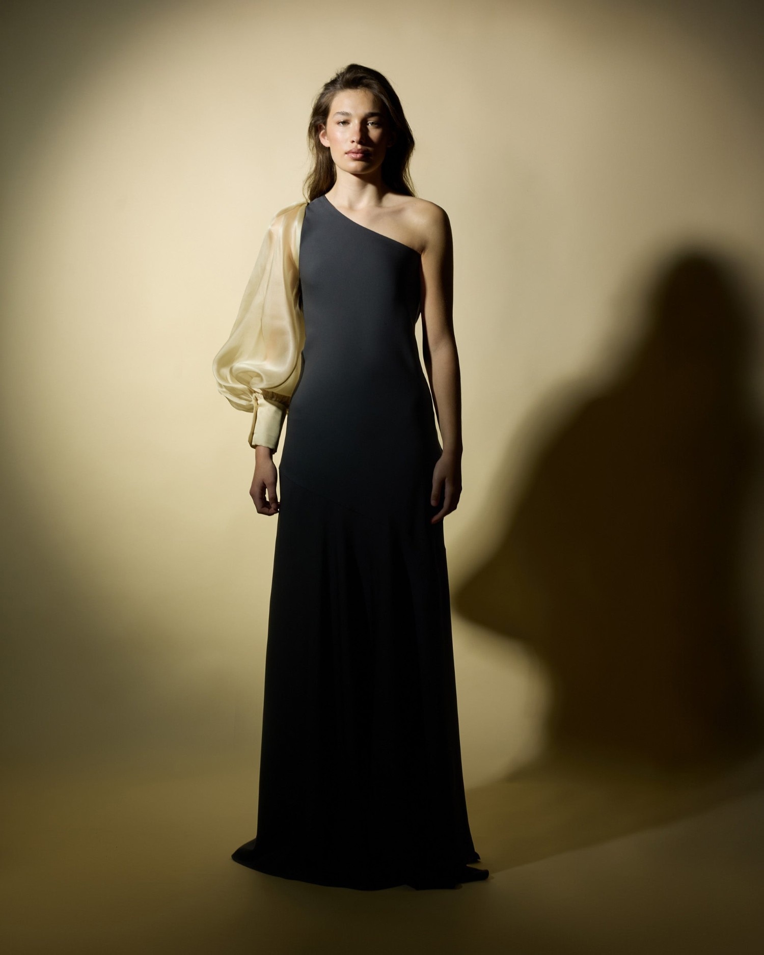 Imagem 0 de Vestido Caprile X Silbon de Manga Assimétrica em Organza