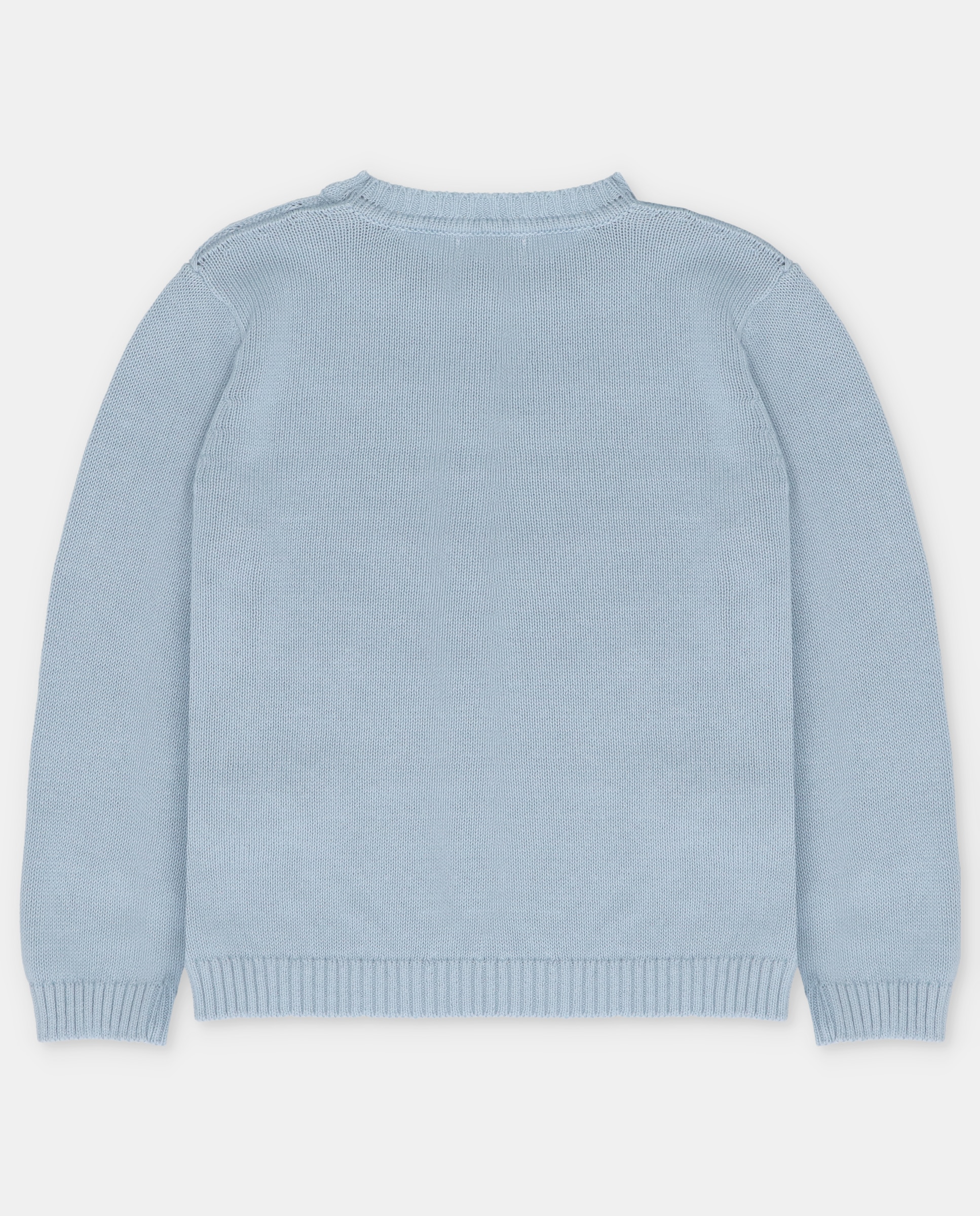 Camisola para Bebé com Gola Redonda e Desenho Frontal Martín Aranda Azul-claro-2