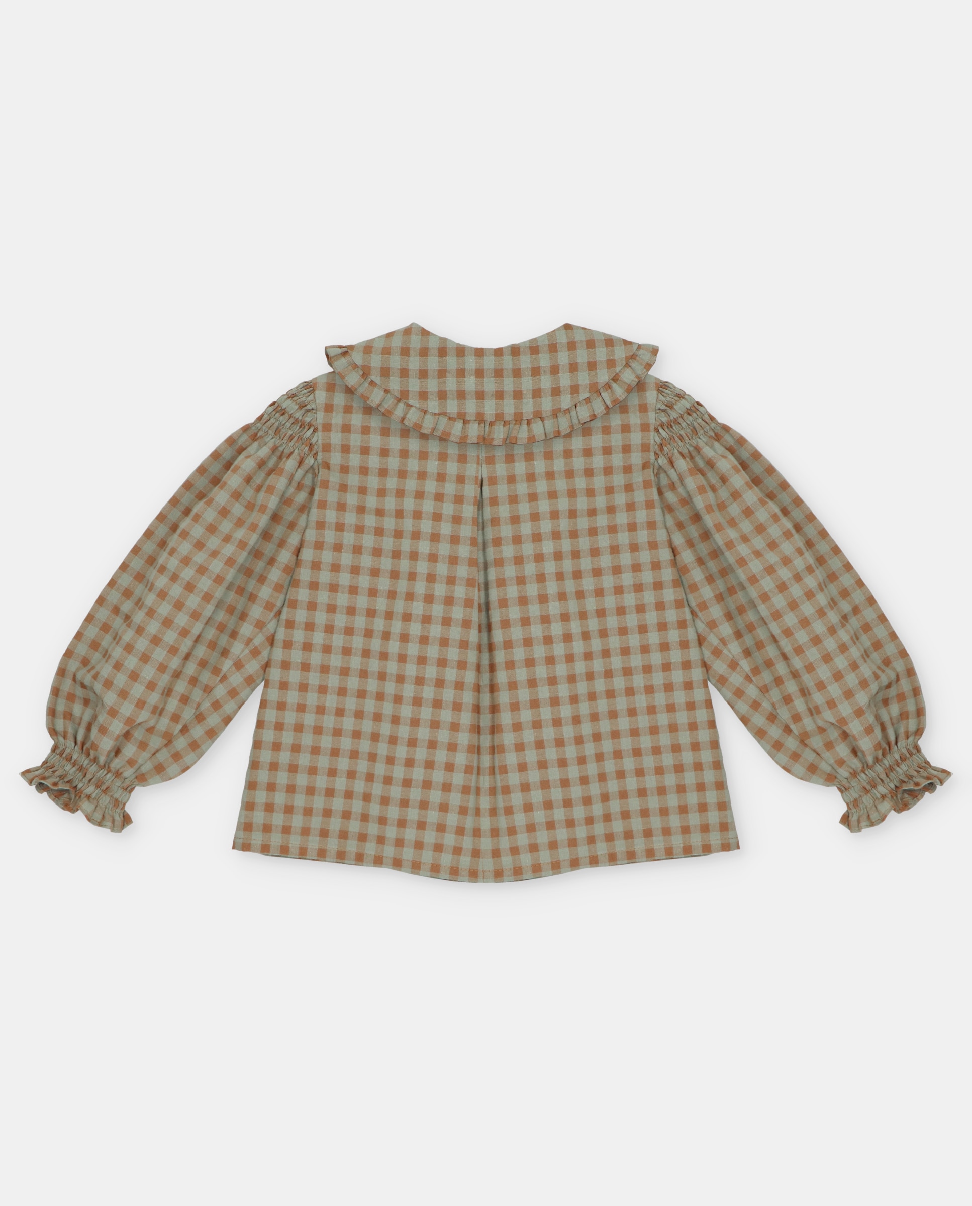 Camisa Infantil de Manga Comprida Microestampada Aos Quadrados com Gola com Desenho Bordado Castanho-2