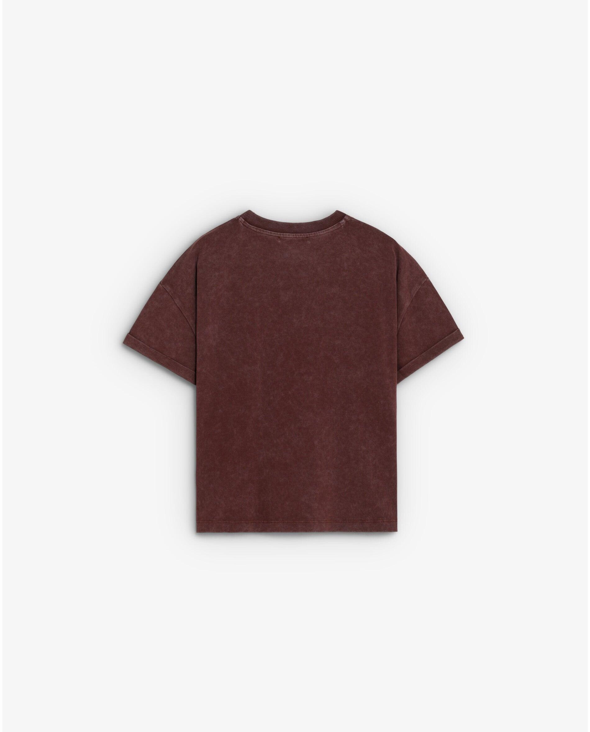 T-shirt Efeito Lavagem com Print Frontal Castanho-2