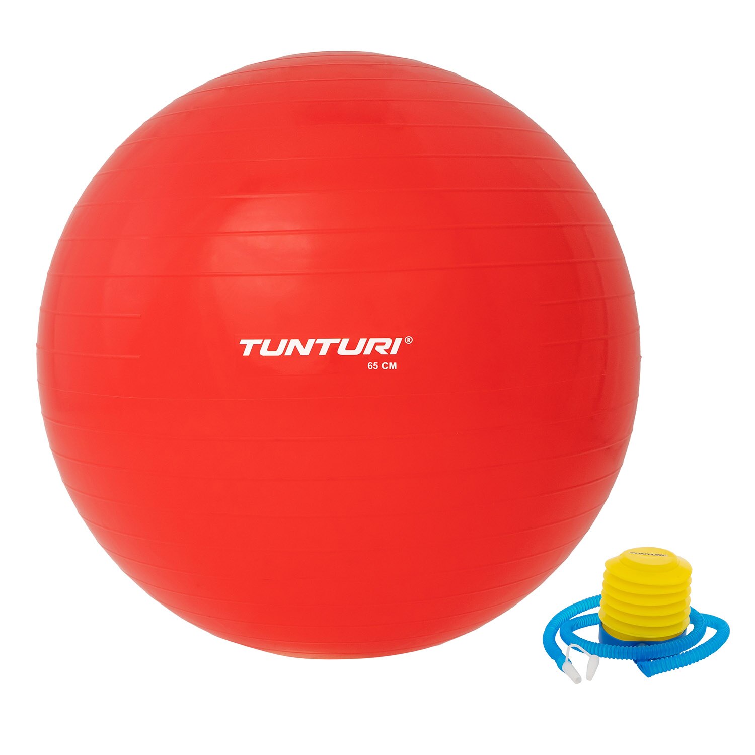 Imagem 0 de Gymball anti explosão Tunturi