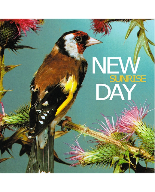 Imagen 0 de Sunrise (LP-Vinilo)