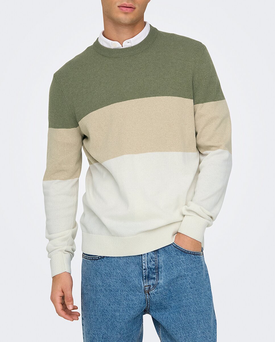 Imagen 0 de Jersey de hombre de cuello redondo regular fit