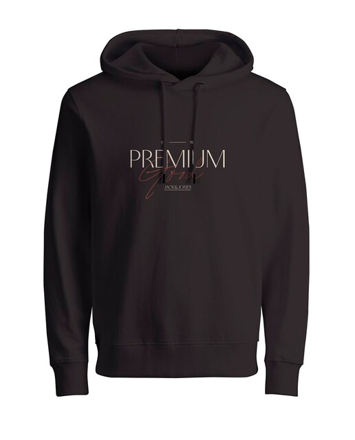 Sudadera con capucha  mangas largas con bordado frontal de hombre