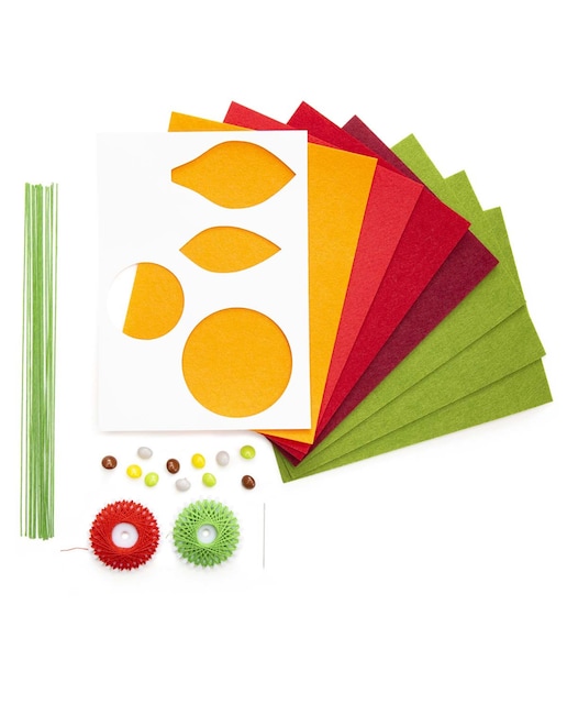 Imagen 0 de Set DIY flores de fieltro Kikkerland