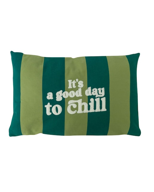 Imagen 0 de Cojín molón Mr Wonderful: It's a good day to chill