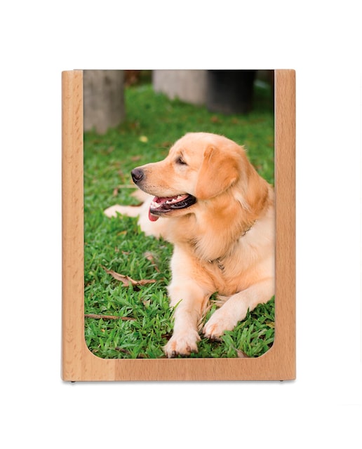 Imagen 0 de Portalápices de madera con foto Kikkerland