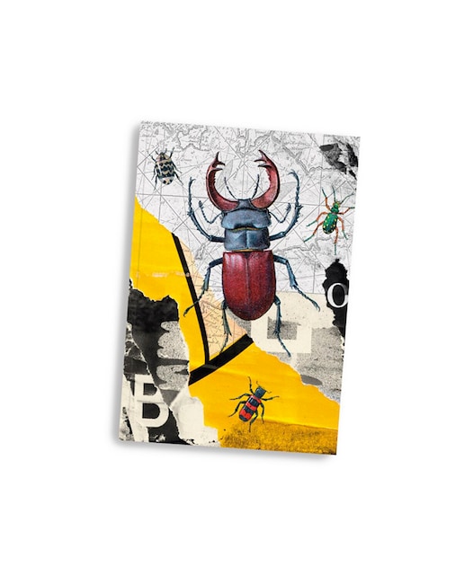 Imagen 0 de Cuaderno Romano Cuquiland bugs