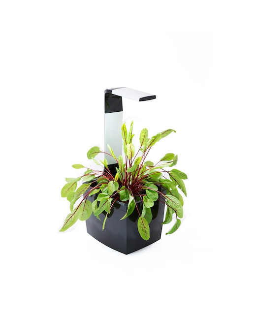 Imagen 0 de Huerto de Cocina Tregren T3 Negro