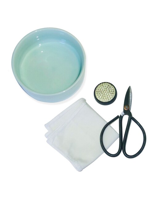 Imagen 0 de Set de flores Ikebana de Kikkerland