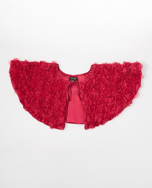 Imagen 0 de Capelina flores textura