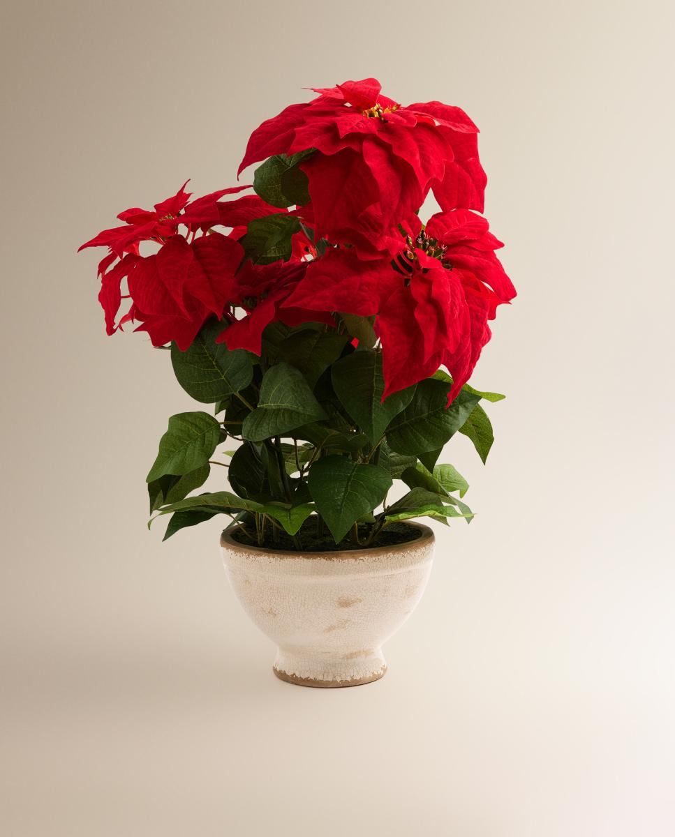 Imagen 0 de Flor de Ponsetia artificial en maceta de cerámica Navidad