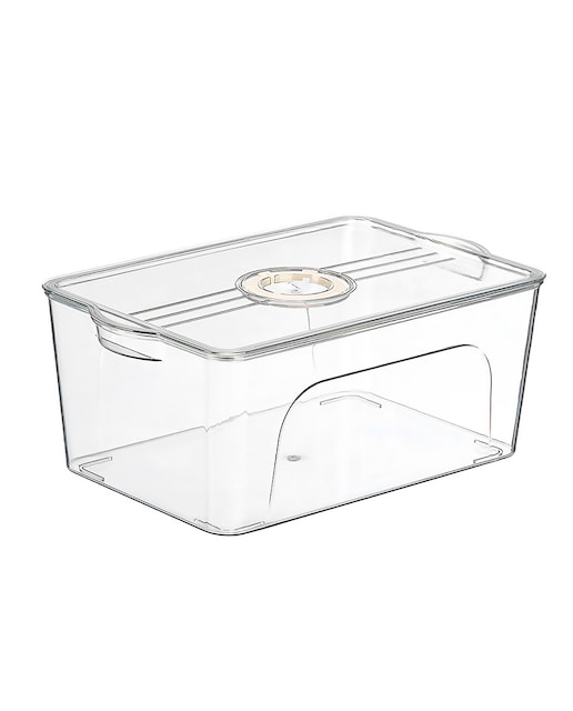 Imagen 0 de Organizador transparente para nevera con tapa jumbo aro blanco con fecha.