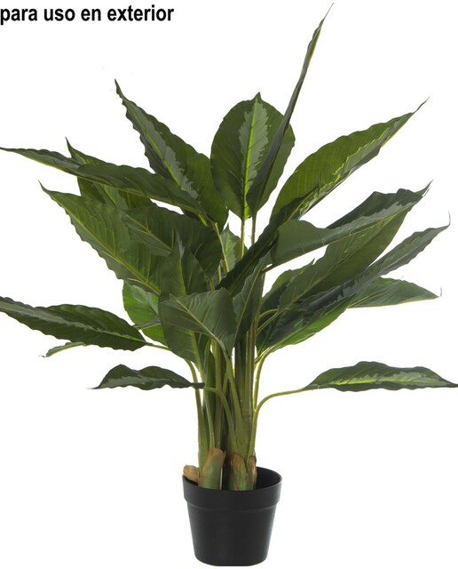 Imagen 0 de Planta artificial 85cm hoja