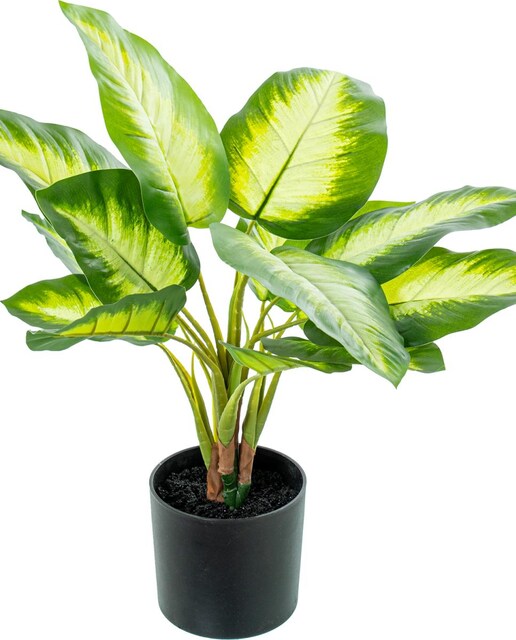 Imagen 0 de Planta artificial aglaonema