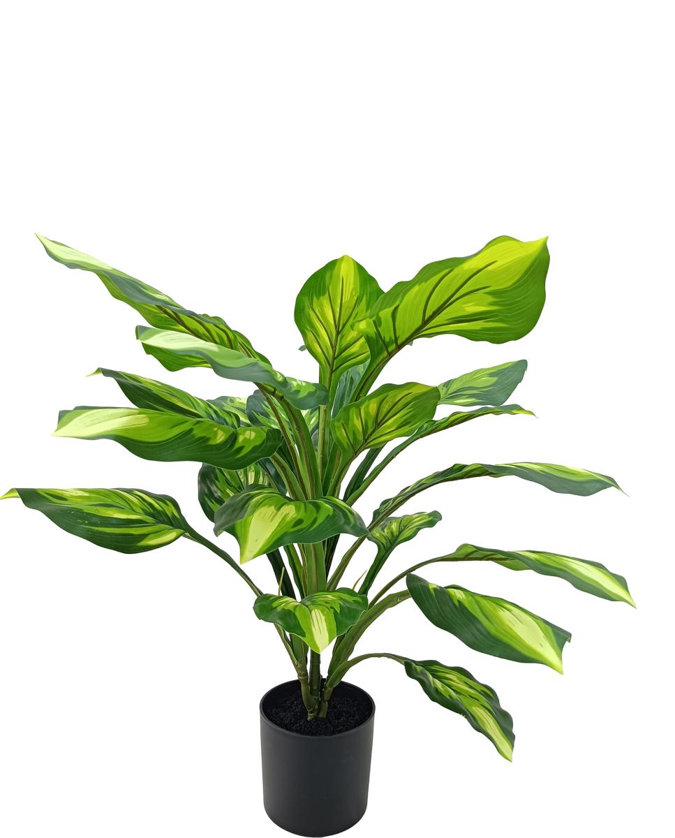 Imagen 0 de Planta artificial aglaonema