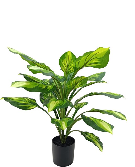 Imagen 0 de Planta artificial aglaonema