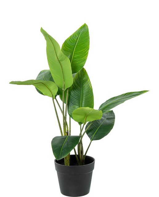 Imagen 0 de Planta artificial arbol