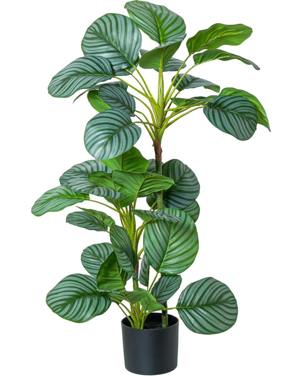 Imagen 0 de Planta artificial calathea