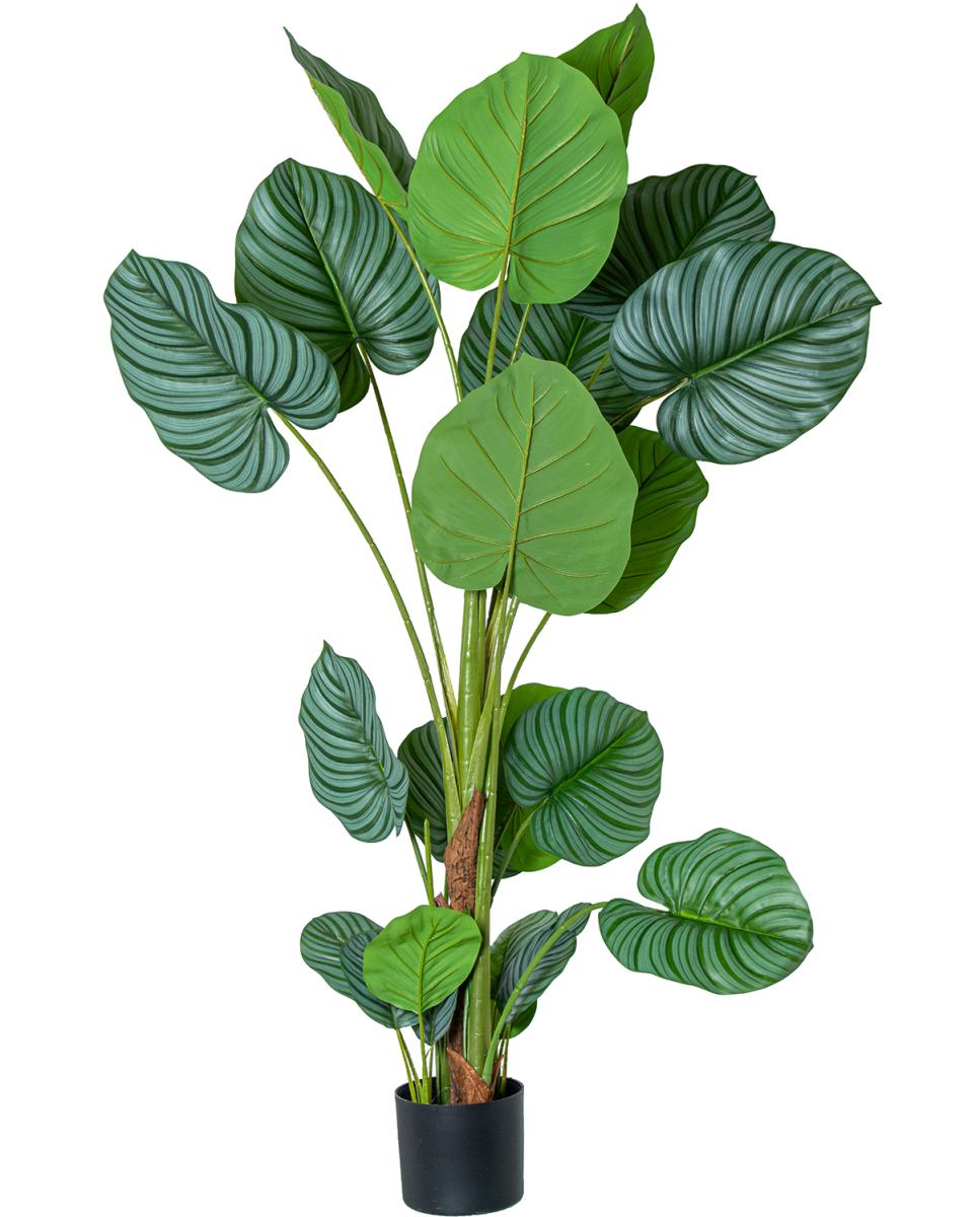 Imagen 0 de Planta artificial calathea