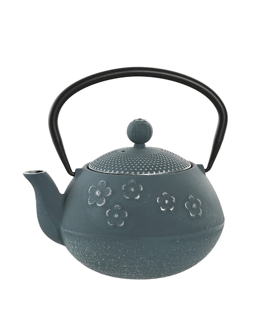 Imagen 0 de Tetera hierro colado inox 16x1