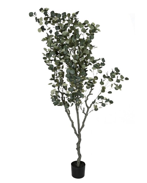 Imagen 0 de Arbol pe cemento 80x80x220 eucalipto