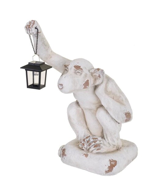 Imagen 0 de Mono deco magnesio