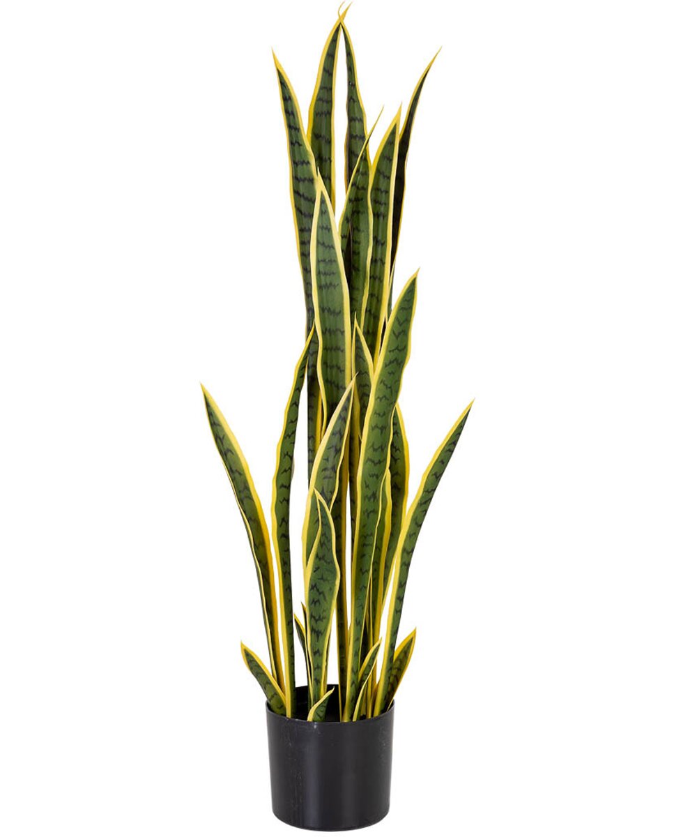 Imagen 0 de Sanseveria y artificial
