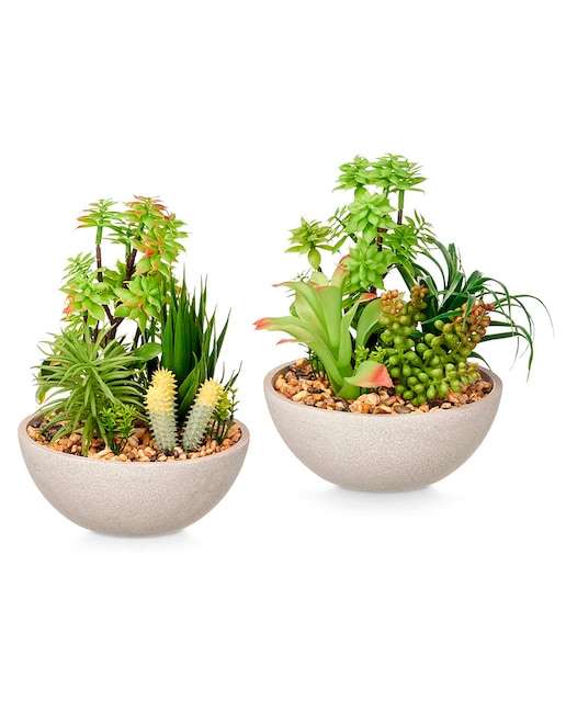 Imagen 0 de Pack 2 macetas redonda con piedras surtido 2 diseños