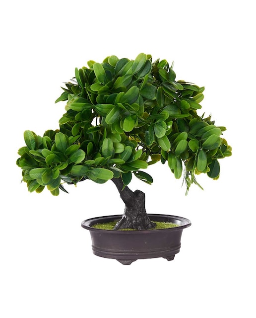 Imagen 0 de Bonsái de plástico con flores verdes y maceta negra.