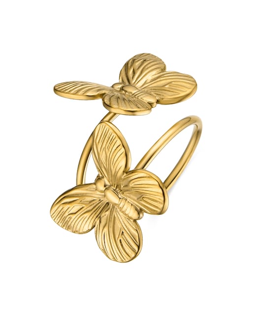 Imagen 0 de Anillos