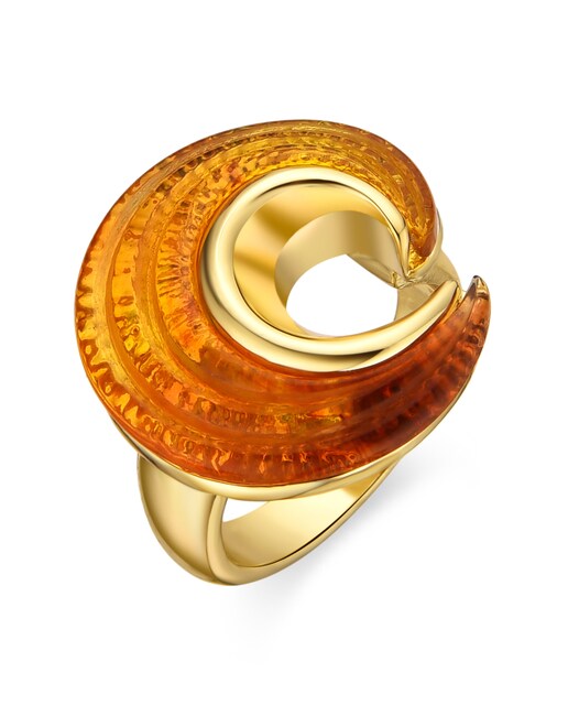 Imagen 0 de Anillos