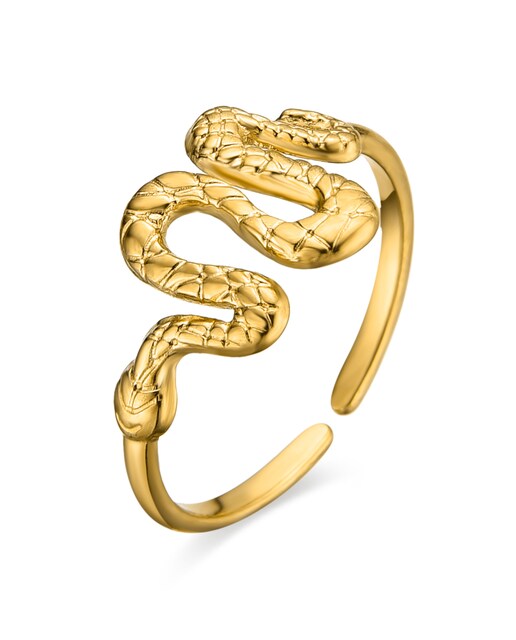 Imagen 0 de Anillos