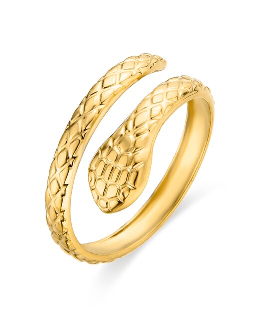 Imagen 0 de Anillos