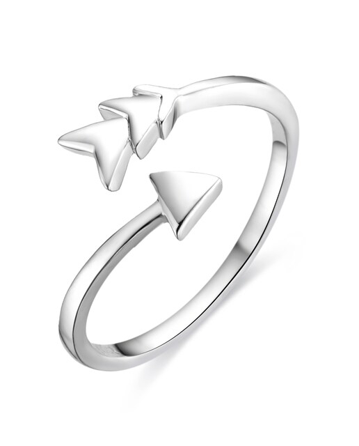 Imagen 0 de Anillos