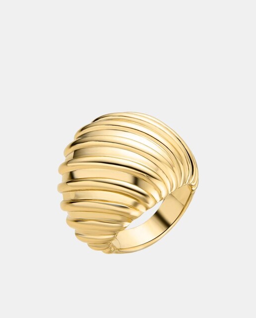 Imagen 0 de Anillos