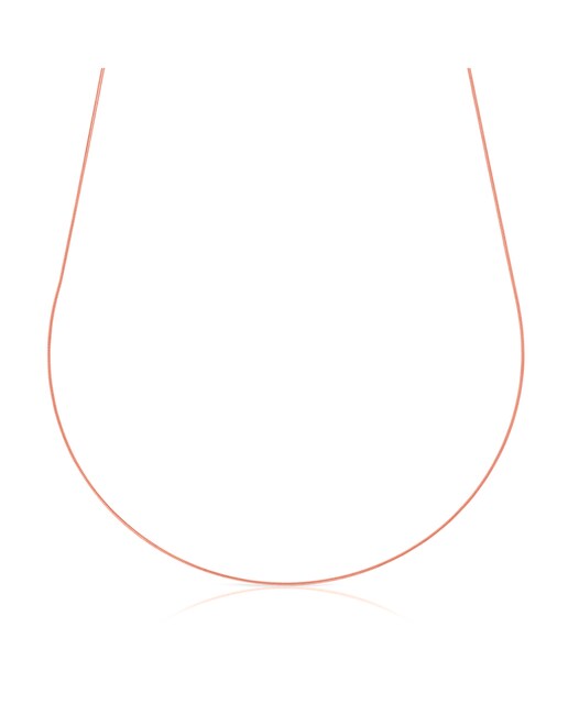 Imagen 0 de Collar Plata de Ley 925 con forma snake