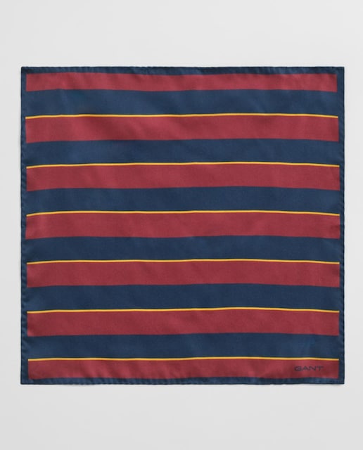 Imagen 0 de Pañuelo de bolsillo de seda con borde en contraste y estampado de rayas.