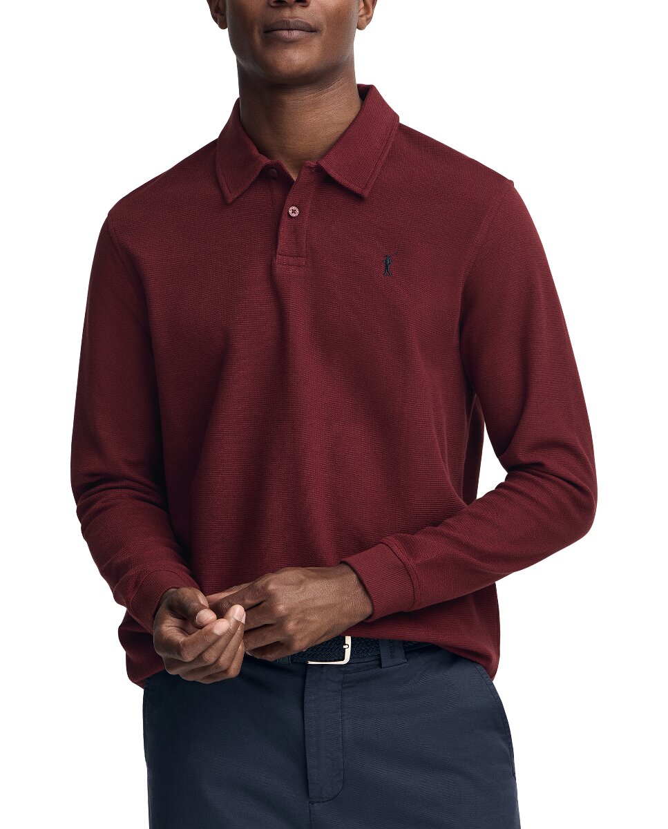 Imagen 0 de Polo de hombre con miscroestructura y bordado Rigby go