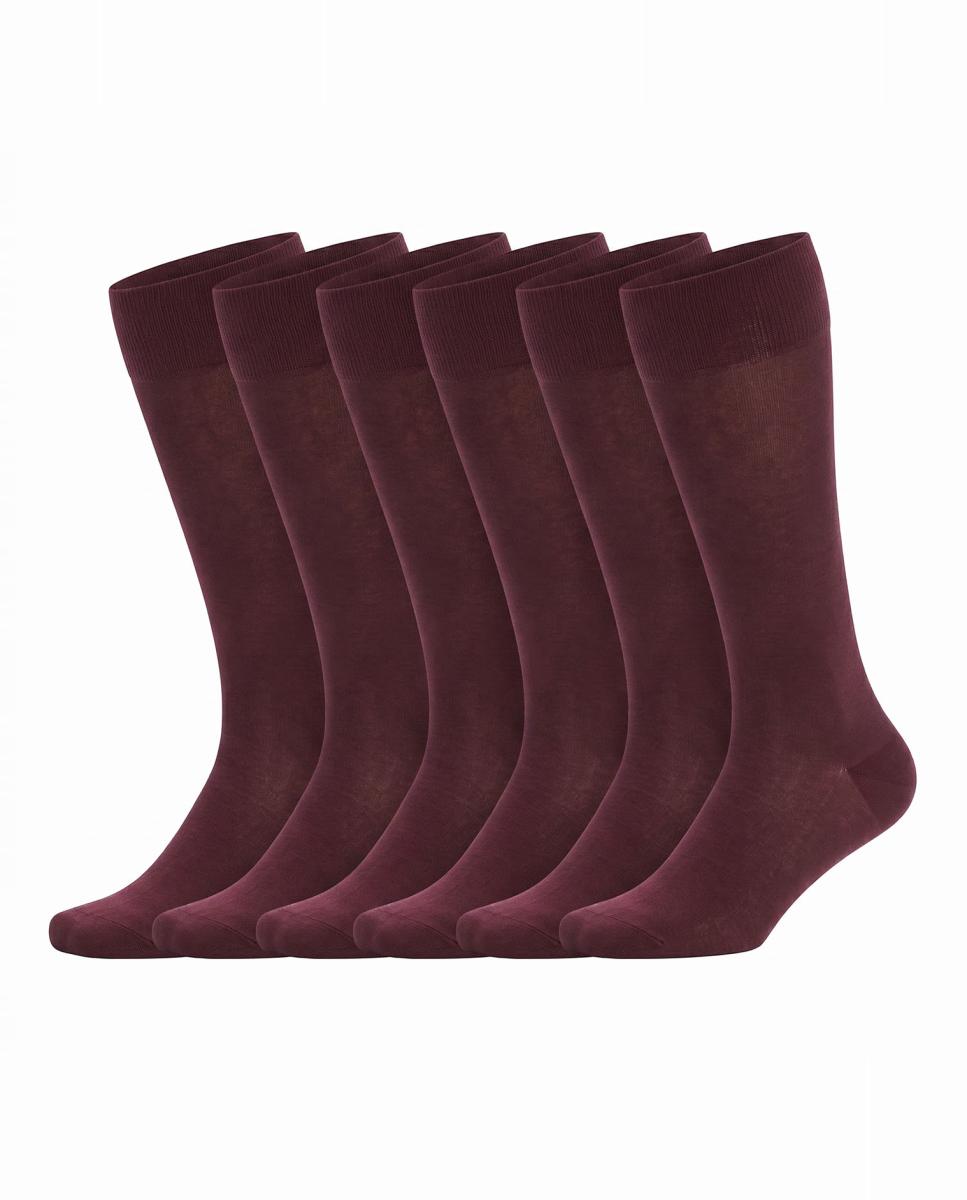 Imagen 0 de Pack 6 Hombre calcetines ejecutivos