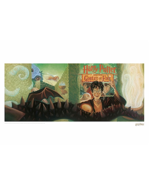Imagen 0 de Lámina Harry Potter y El Cáliz de Fuego