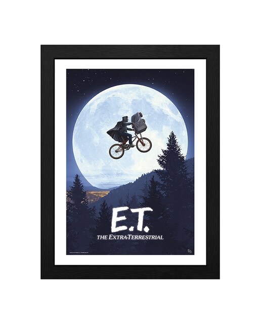 Imagen 0 de Lámina Con Marco E.T. Luna