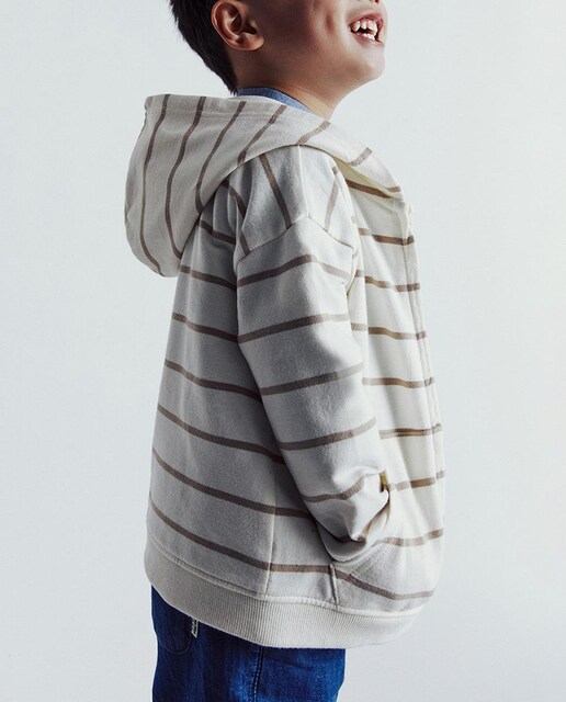 Imagen 0 de Sudadera cremallera rayas