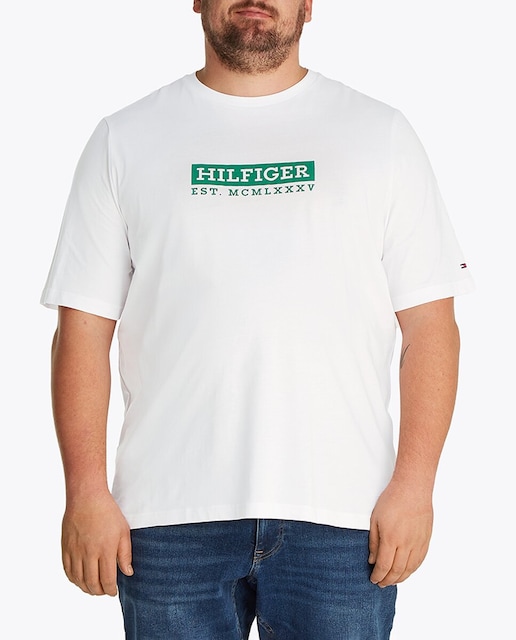 Imagen 0 de Camiseta de caballero con branding impreso colorblock tallas grandes
