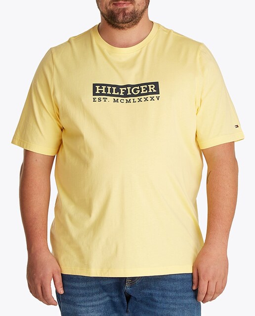 Imagen 0 de Camiseta de caballero con branding impreso colorblock tallas grandes