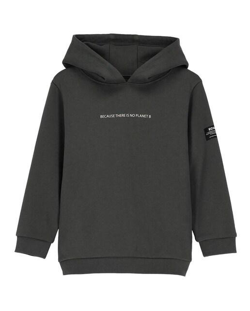 Imagen 0 de Sudadera niño con frase en frontal y logo en manga