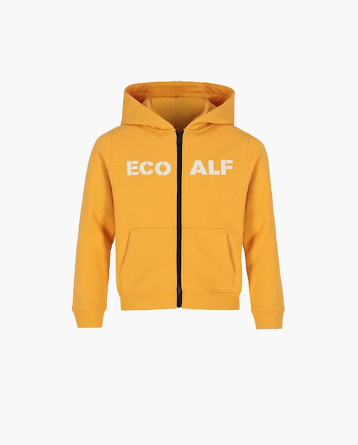 Imagen 0 de Sudadera de niño con capucha y logo frontal