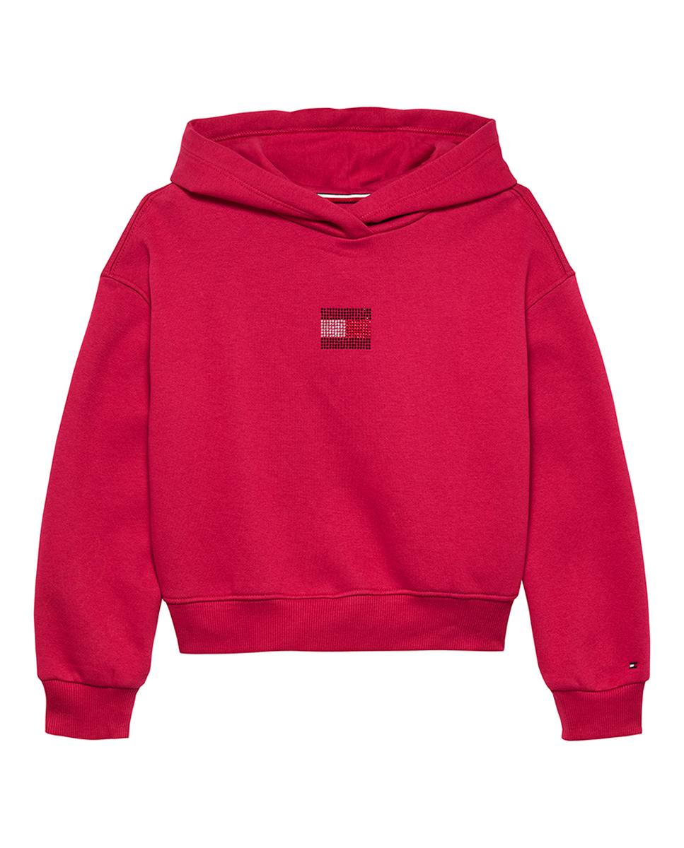 Imagen 0 de Sudadera de bebé niña con capucha y logo frontal de pedrería